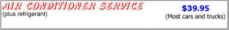 Air Conditioner Service $39.95